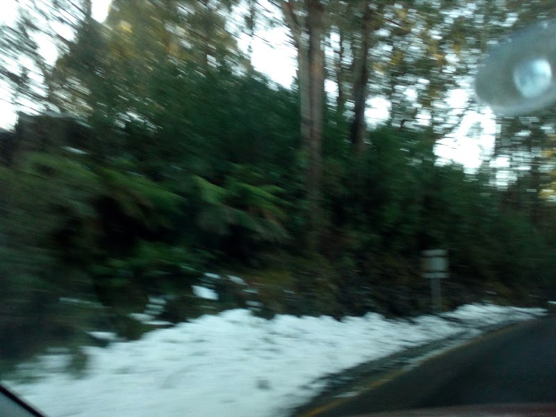 Yarra Ranges Shire - Yarra Ranges Shire, Yarra Ranges, VIC, Australia