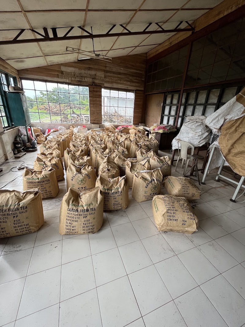 Kelagur Tea Factory - Kelagur Tea Factory, 5F27+H5R, Kelagur, Megur, Karnataka 577122, India
