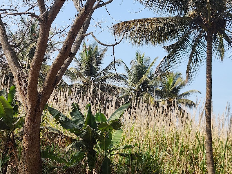 Kollegala - Kollegala, Karnataka, India