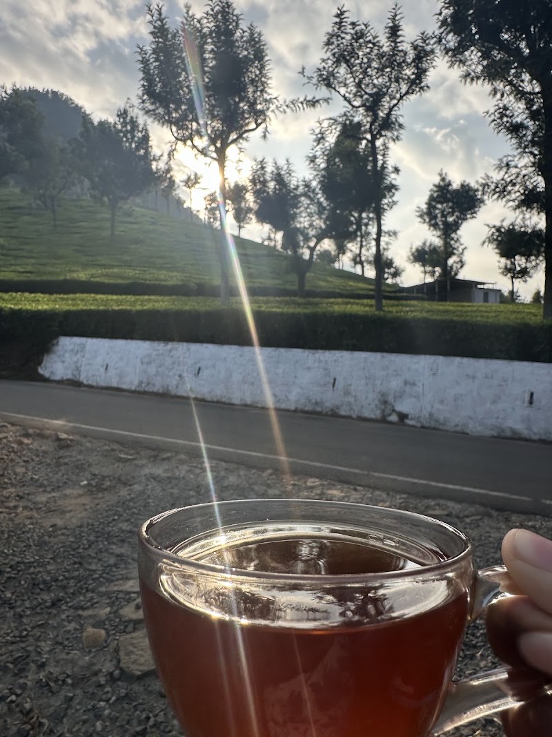Glendale Estate tea factory - Glendale Estate tea factory 8QJP+CRC, Taluk Office Rd, Coonoor, Huligal, Tamil Nadu 643102, India