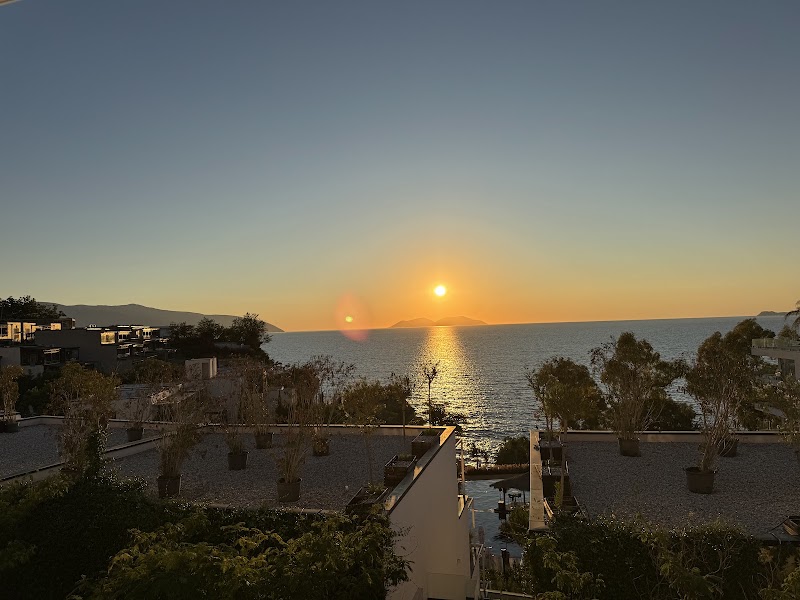 Mandarine Restaurant - Mandarine Restaurant, Rruga Aleksandër Moisiu 9405, Vlora, Albania