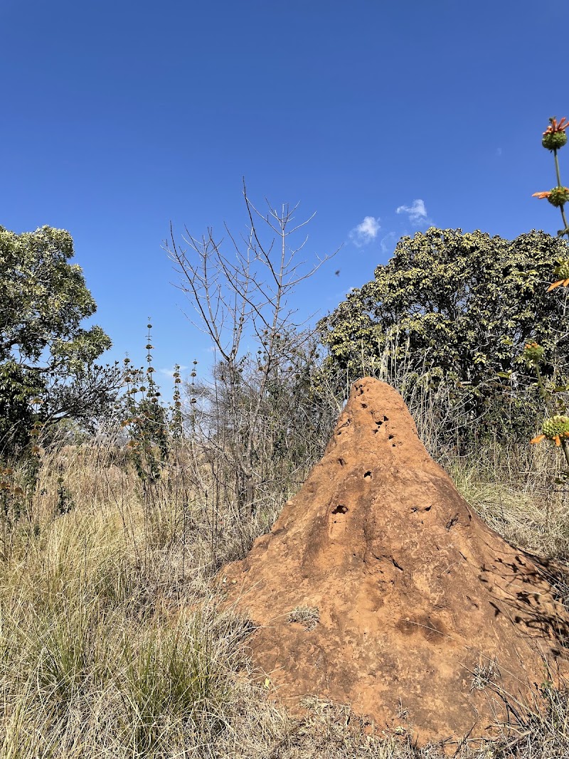 Lowveld View - Lowveld View, R532, South Africa