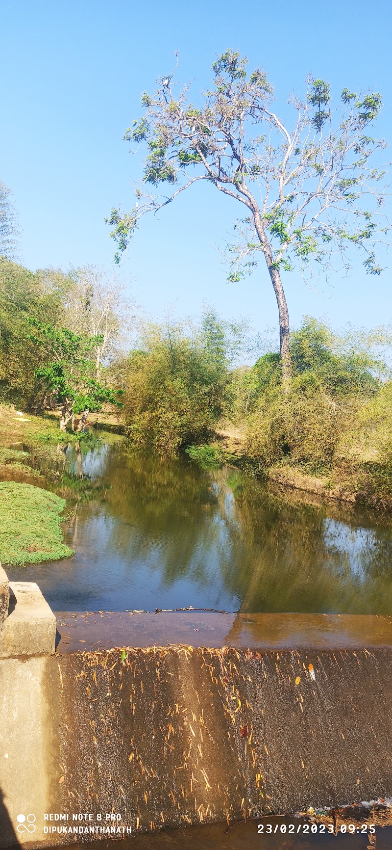 Kattikkulam - Kattikkulam, Kerala 670646, India