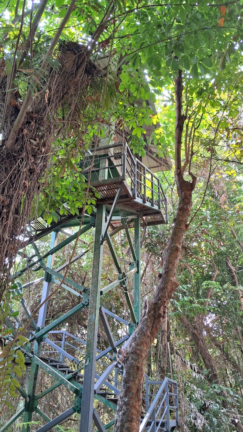 Kumarakom Bird Sanctuary Tower 2 - Kumarakom Bird Sanctuary Tower 2, JCJC+8G4, Kavanattinkara, Kumarakom, Kerala 686563, India