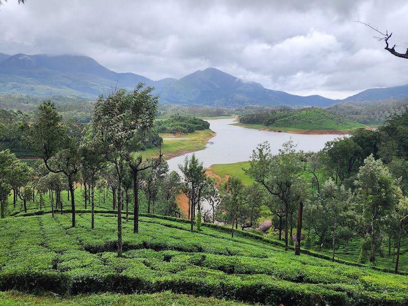 Lockhart Gap View - Lockhart Gap View Lockhart, Gap Road, Munnar, Kerala 685613, India