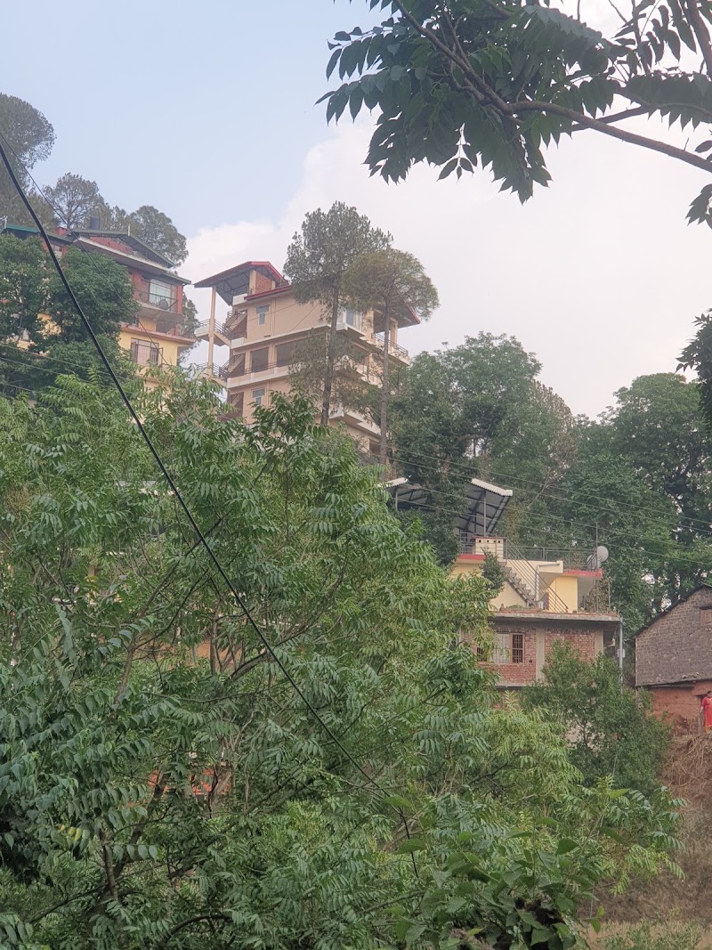 Bulbul Royal Nest Homestay- Your Home-n-Home.