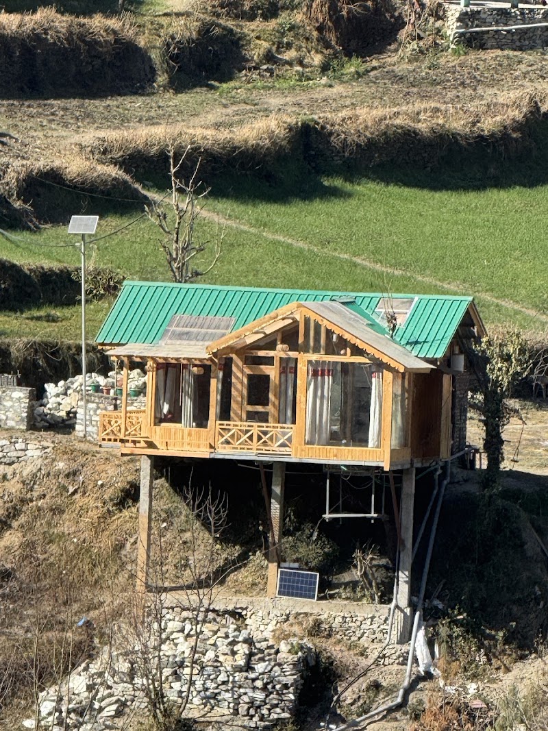 River Voice Treehouse Jibhi