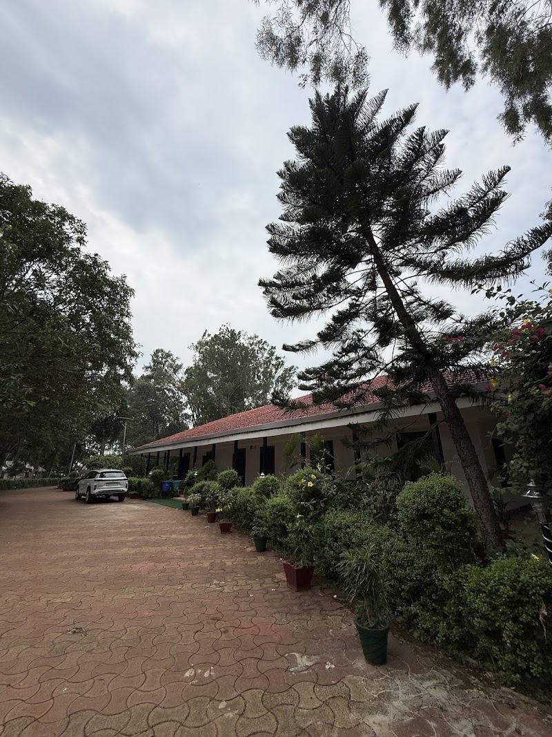 Forest guest house - Forest guest house, F7GG+JCX, Netarhat, Jharkhand 835218, India