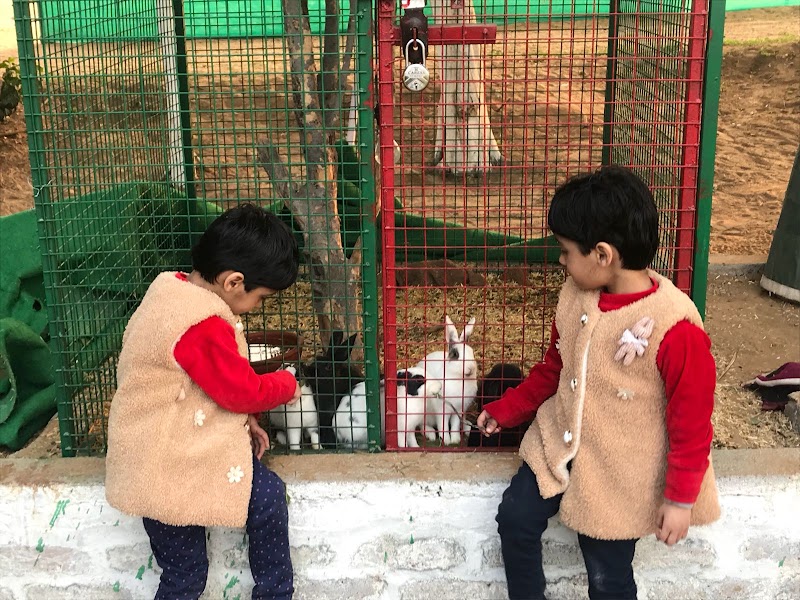 Ramgarh Farms & Resort Gurgaon - Ramgarh Farms & Resort Gurgaon, Village Chandu, Behind Village Dhaba, Near Sultanpur Lake Bird Sanctuary, Main Gurugram-Farukhnagar Road, Gurugram, Haryana 122505, India