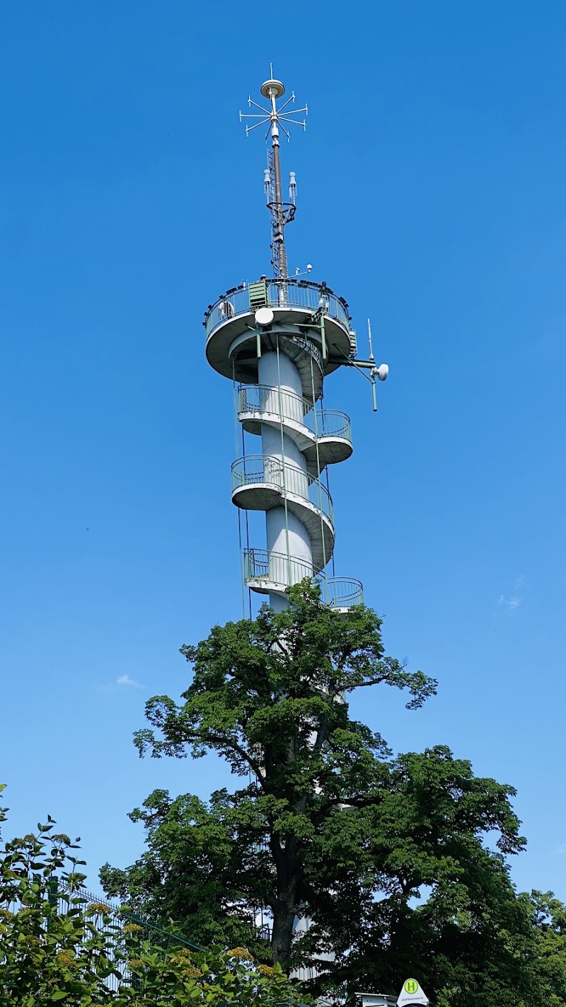 Steinbruchwiese - Steinbruchwiese, Johann-Staud-Straße M, 1160 Wien, Austria