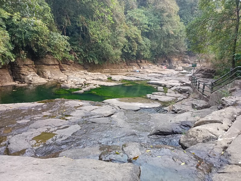 Living root bridge - Living root bridge 62HJ+5HP, Unnamed Road, Mawlynnong, Meghalaya 793161, India