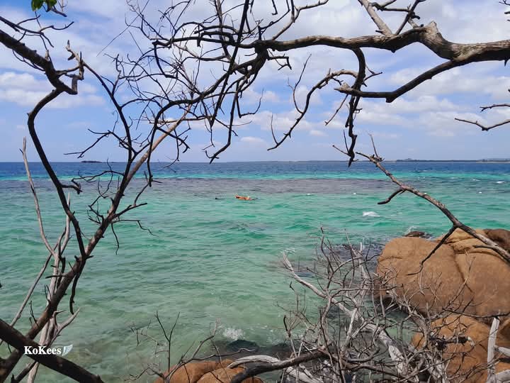 Ocean breeze Snorkeling centre - Ocean breeze Snorkeling centre No-42 alles garden, Trincomalee, Sri Lanka