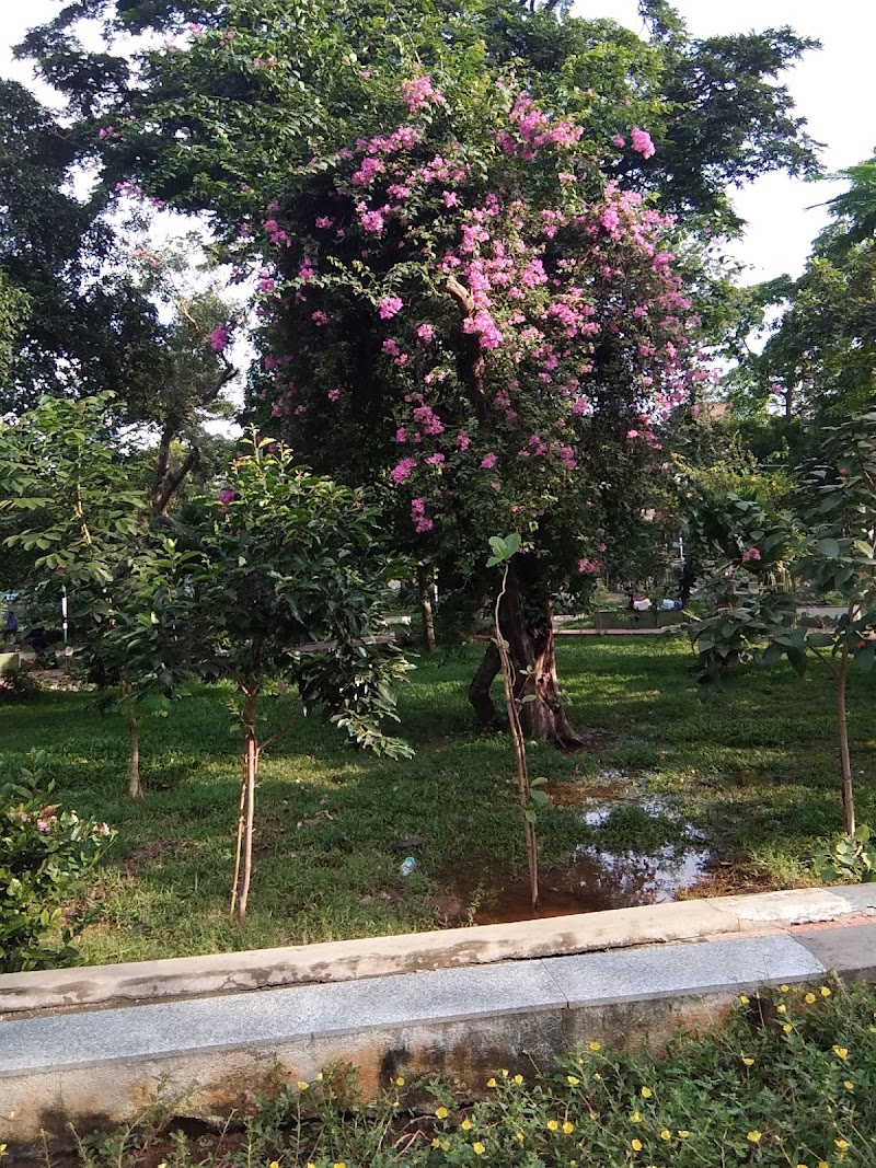 Panagal Park - Panagal Park Nageswaran Rao Rd, T. Nagar, Chennai, Tamil Nadu 600017, India