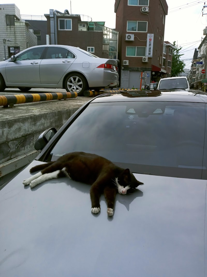 Yeonnam-dong - Yeonnam-dong, Mapo-gu, Seoul, South Korea