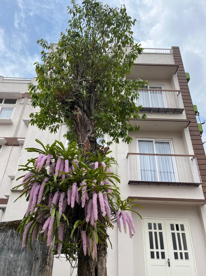 Longwood Residence - Longwood Residence, Gordon - Bhagyakul Road, Before NIT, Bijni Campus Rd, Nongkynrih, Laitumkhrah, Shillong, Meghalaya 793011, India