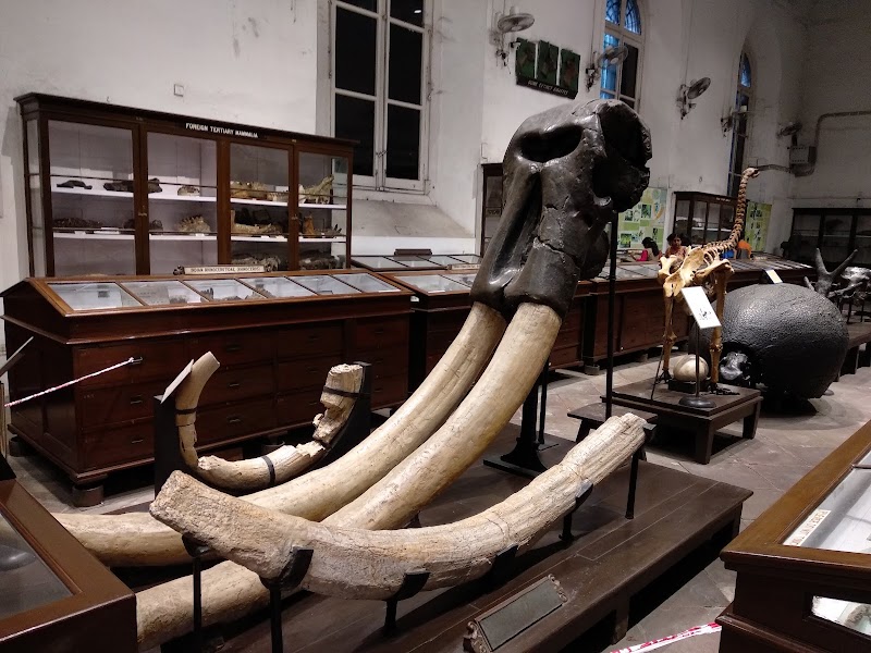 Indian Museum