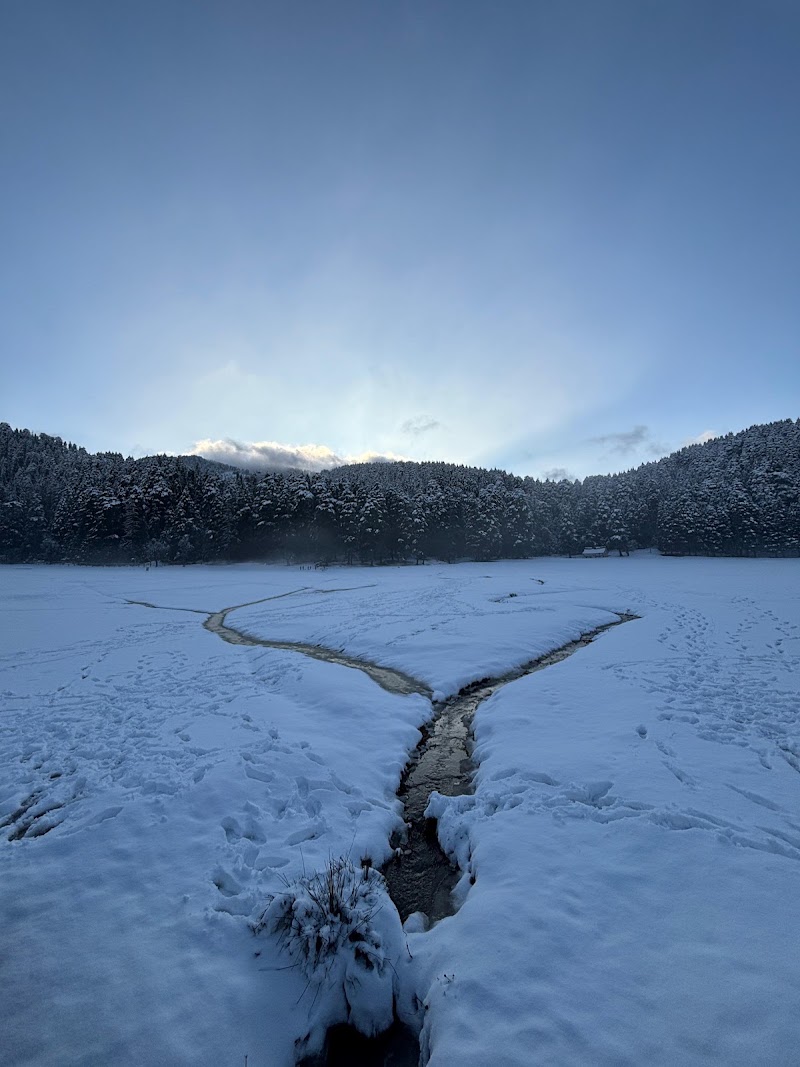 Sunrise - Sunrise Village, Bhathli p/o, Khajjiar, Khajiar Jangal, Himachal Pradesh 176314, India