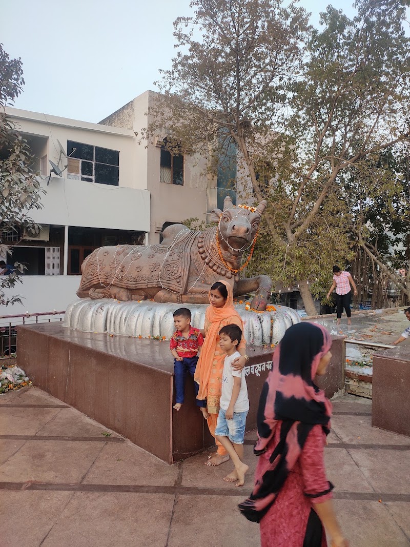 Shiv Murti, Gurugram - Shiv Murti, Gurugram 551, Palam Vihar Rd, Chauma Village, Sector 1, Palam Vihar, Gurugram, Haryana 122017, India