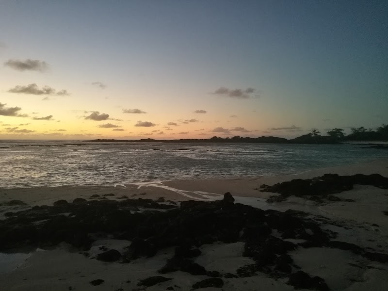 Palmar - Palmar, Quatre Cocos, Mauritius