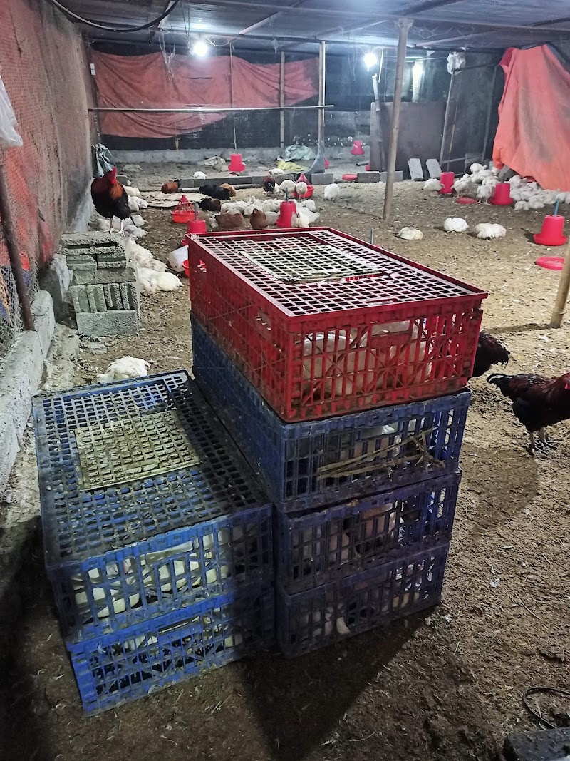 Mayadevi Group Of Agriculture Pvt. Ltd. - Mayadevi Group Of Agriculture Pvt. Ltd., Pokhara, Gandaki Province 33700, Nepal