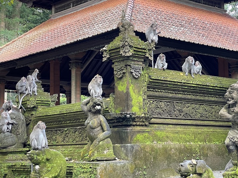 Sacred Monkey Forest Sanctuary - Sacred Monkey Forest Sanctuary Jl. Monkey Forest, Ubud, Kecamatan Ubud, Kabupaten Gianyar, Bali 80571, Indonesia
