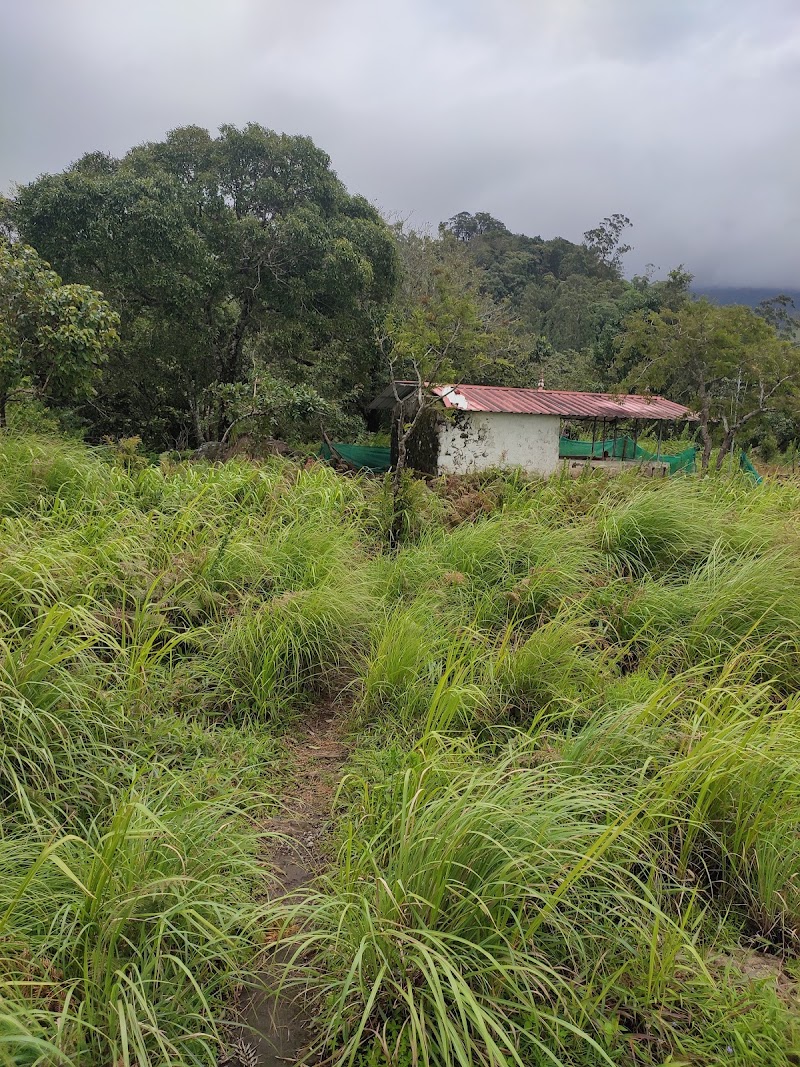Muthanmudi View Point - Muthanmudi View Point Pallivasal, Keralam 685565, India