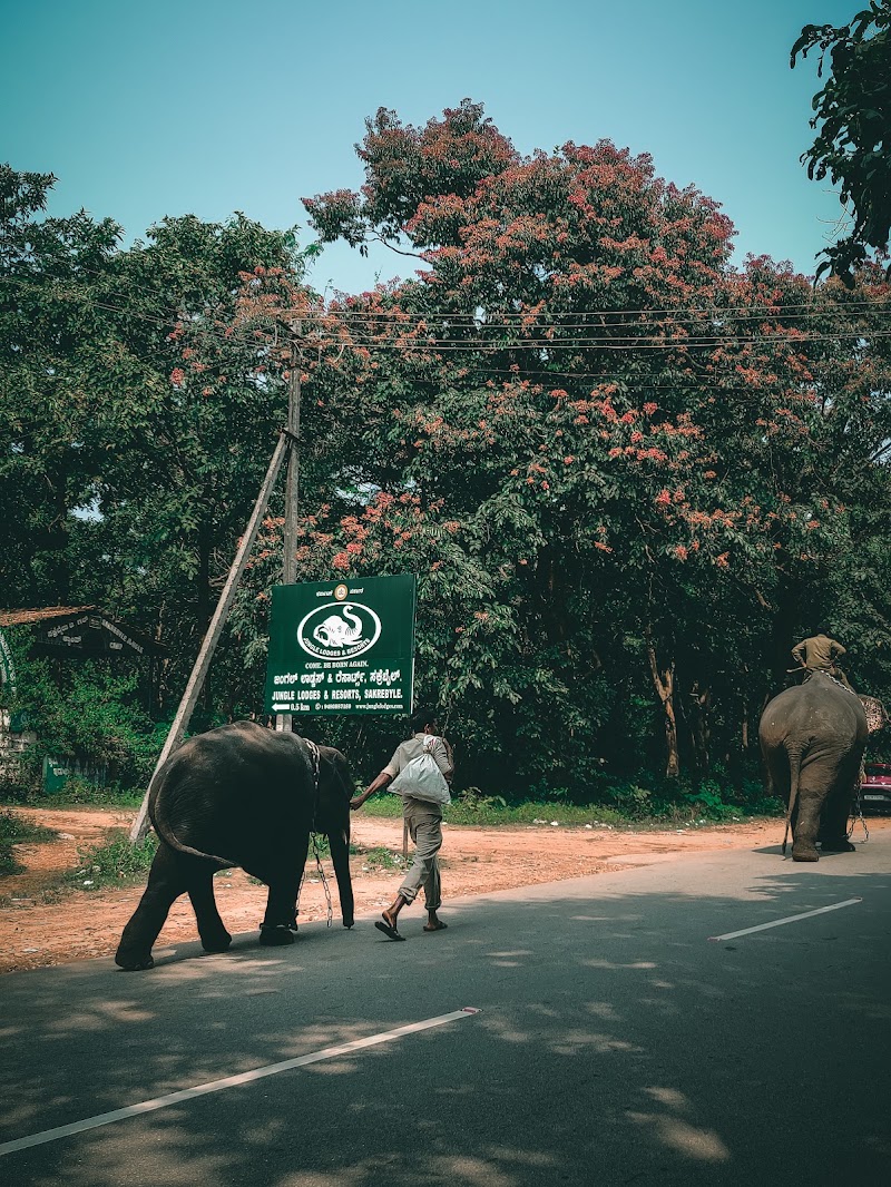 Sakrebyle - Sakrebyle, Karnataka 577202, India