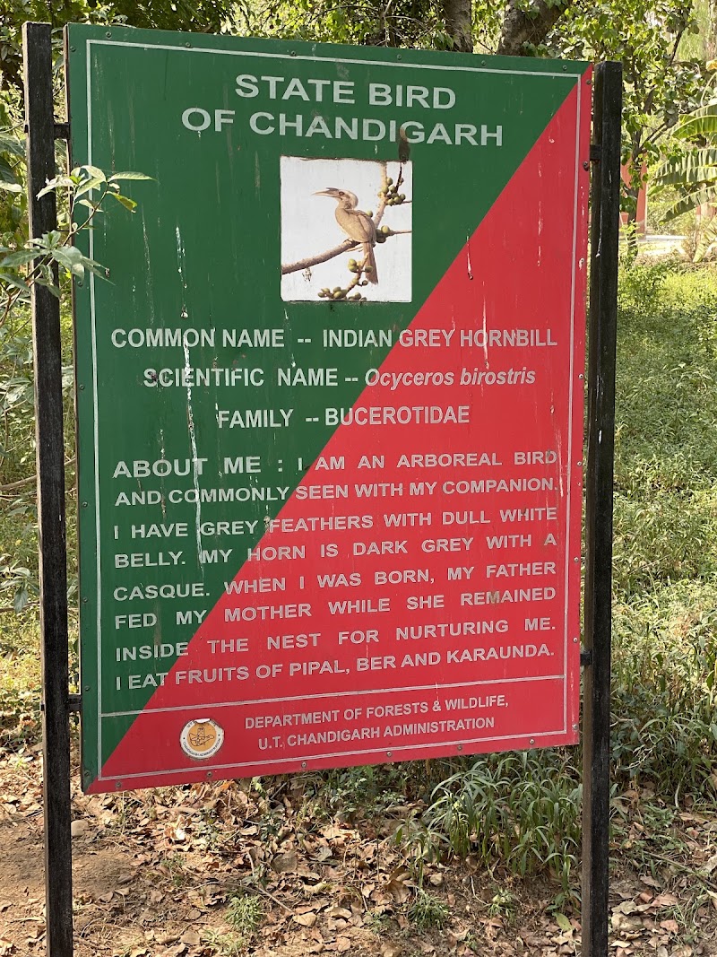 Butterfly Park, 26 Chandigarh - Butterfly Park, 26 Chandigarh Nitttr, Sector 26, Chandigarh, 160019, India