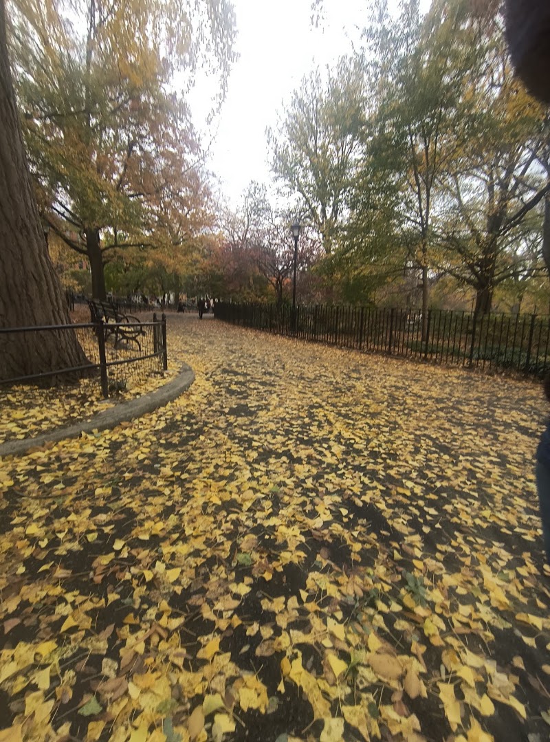 Tompkins Square East Playground - Tompkins Square East Playground Tompkins Square Park, New York, NY 10009, USA