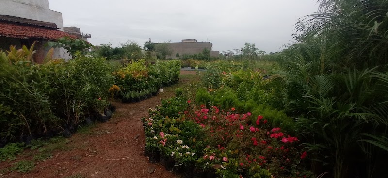 P.N.Nursery and Bio Agro. Product - P.N.Nursery and Bio Agro. Product, Ward no.2, near Ganpati Nagar, Railway Colony, Balod, Chhattisgarh 491226, India