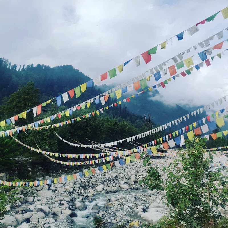 Solang Diaries - Manali - Solang Diaries - Manali, Manali - Leh Hwy, near Palchan, Diaries, Manali, Solang, Himachal Pradesh 175103, India