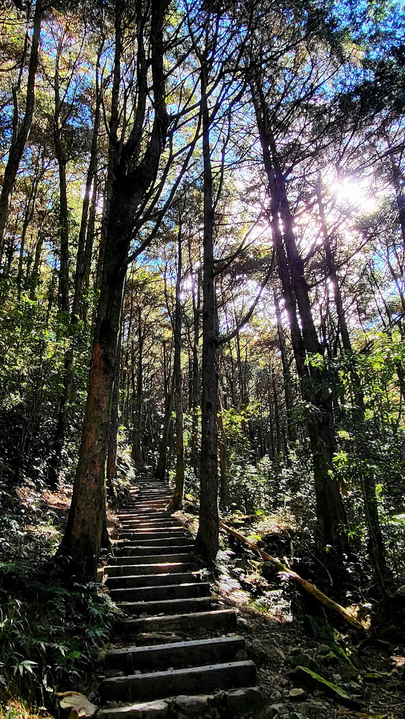 鳶嘴稍來小雪山國家步道木梯 - 鳶嘴稍來小雪山國家步道木梯, Heping District, Taichung City, Taiwan 424