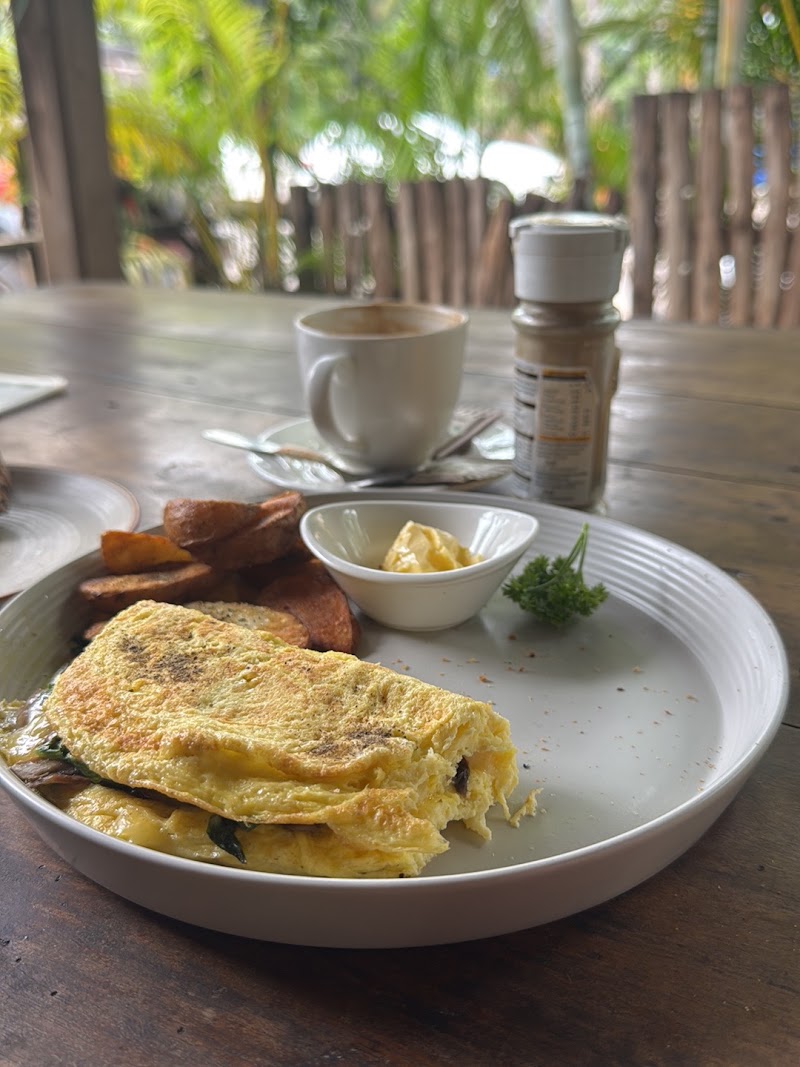 Cafe Osa Goa - Cafe Osa Goa 669 B, Malekarwada, Morjim, Goa 403512, India