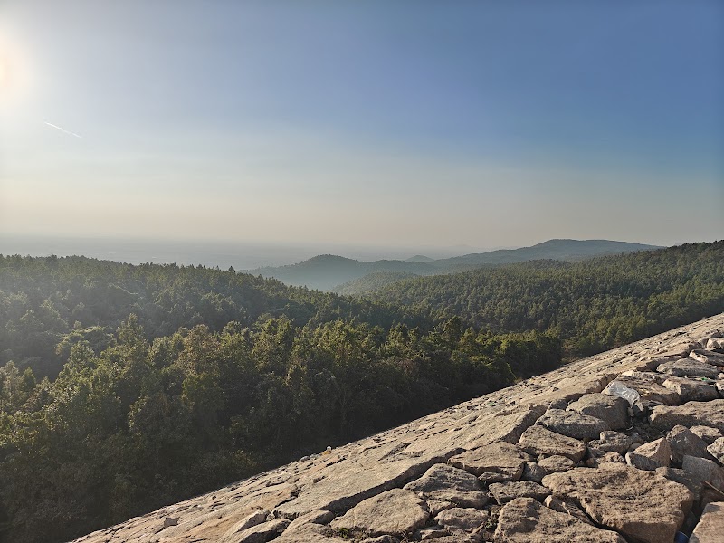 Ajodhya Hill and Forest Reserve Area - Ajodhya Hill and Forest Reserve Area, 642G+4M9, Ajodhya, West Bengal 723132, India