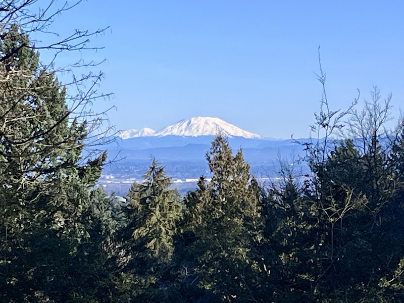 Hoyt Arboretum - Hoyt Arboretum, 4000 SW Fairview Blvd, Portland, OR 97221, USA