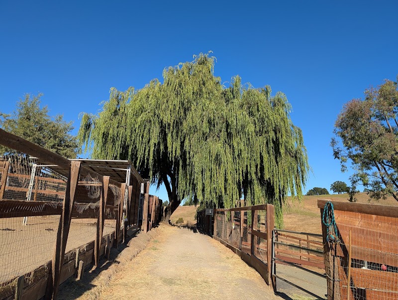 Westwind Community Barn - Westwind Community Barn 27210 Altamont Rd, Los Altos Hills, CA 94022, USA