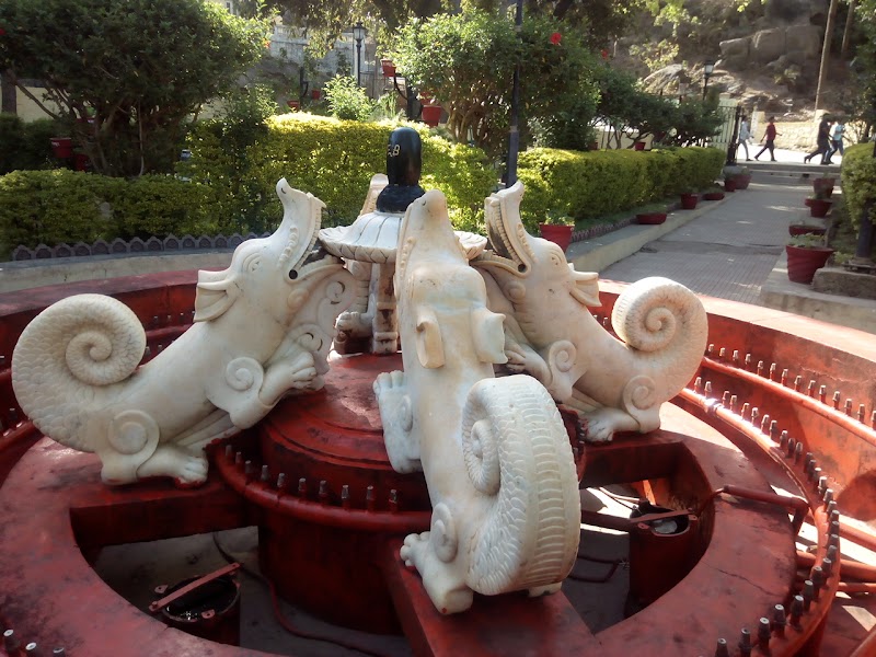 Crocodile Park