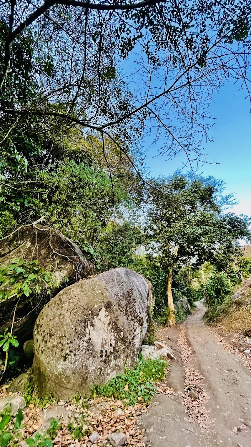 Myladippara - Myladippara, Civil Station, Madathumpadi, Kalpetta, Keralam 673122, India