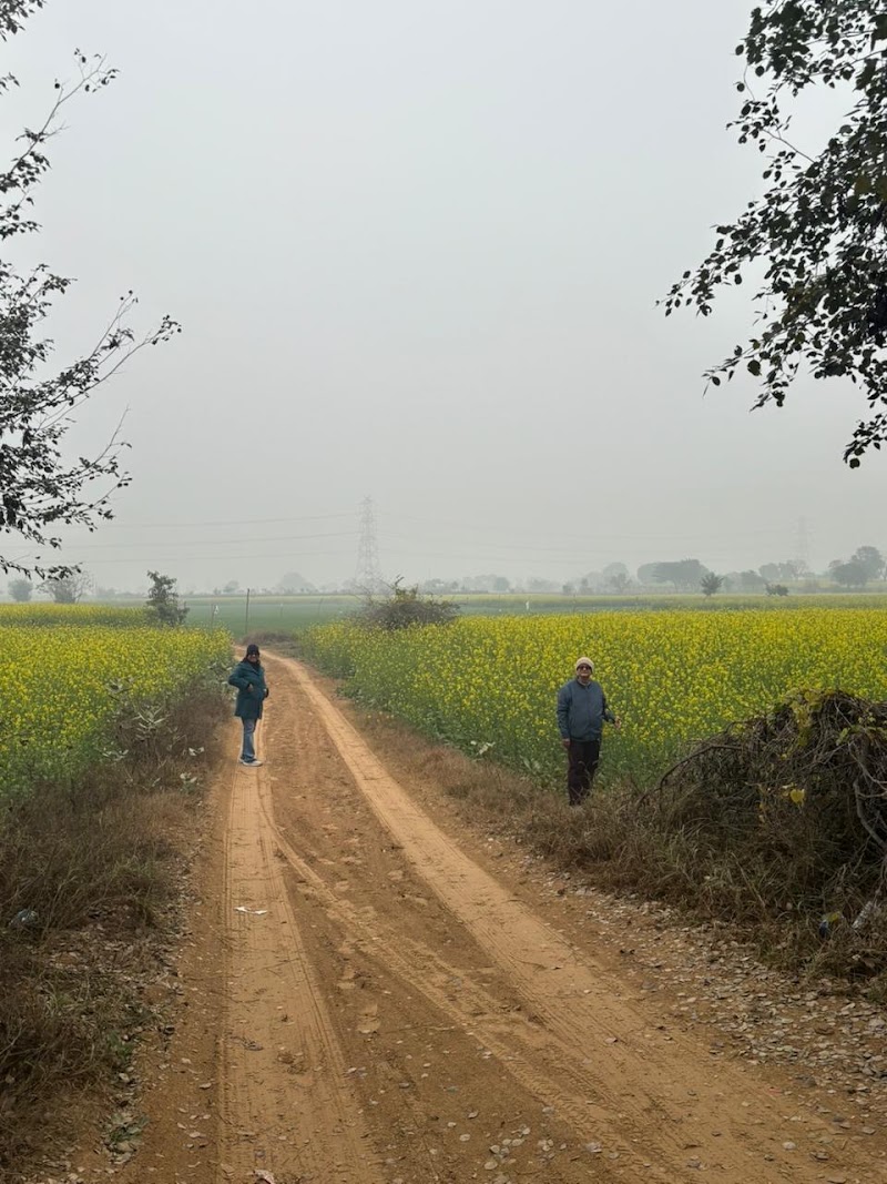 Sultanpur National Park Entry Gate - Sultanpur National Park Entry Gate 22, Sultanpur, Gurugram, Haryana 122506, India