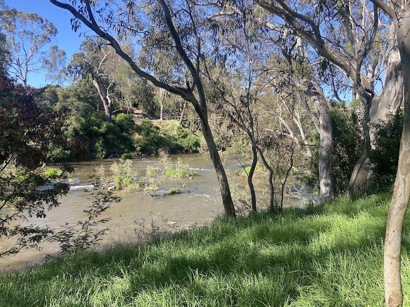Yarra Valley Parklands - Yarra Valley Parklands, Fitzsimons Ln, Templestowe VIC 3106, Australia