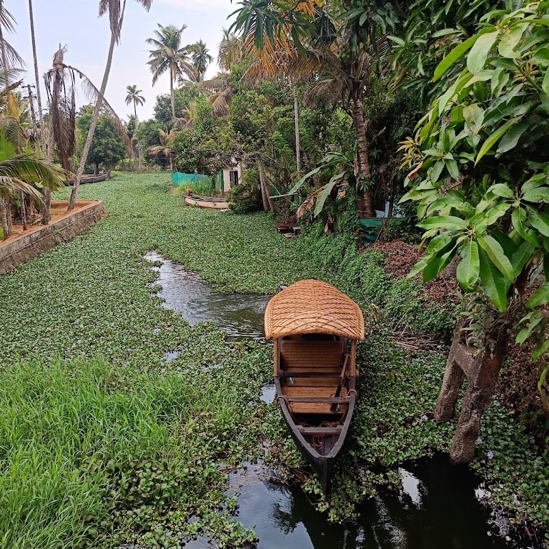 Paddy N' Canal Homestay - Paddy N' Canal Homestay opposite FIRE STATION, Thirumala, Alappuzha, Alapuzha, Kerala 688011, India
