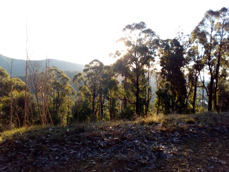 Yarra Ranges Shire - Yarra Ranges Shire, Yarra Ranges, VIC, Australia
