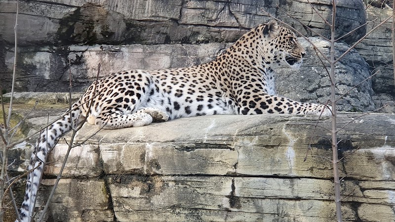 Dählhölzli - Dählhölzli Tierparkweg 3, 3005 Bern, Switzerland
