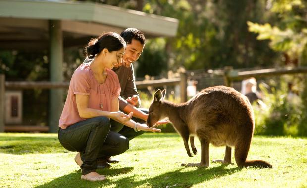 Yarra Valley Winery Tours - Yarra Valley Winery Tours, 17 Hightech Pl, Lilydale VIC 3140, Australia
