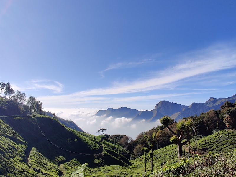Munnar - Top Station Highway - Munnar - Top Station Highway, Munnar - Top Station Hwy, Munnar, Kerala, India