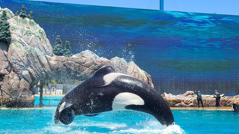 SeaWorld San Diego - SeaWorld San Diego 500 Sea World Dr., San Diego, CA 92109, USA