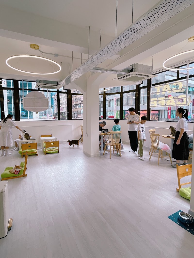 Cats Tea Room Tsuen Wan - Cats Tea Room Tsuen Wan Hong Kong, Tsuen Wan, Chung On St, 110號1樓