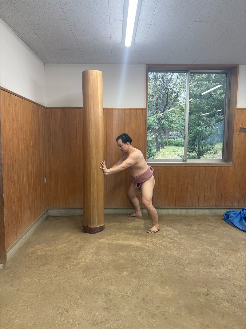 Sumo Experience Tokyo Amita Sumo Dojo - Sumo Experience Tokyo Amita Sumo Dojo, Japan, 〒143-0005 Tokyo, Ota City, Heiwanomorikōen, 2−１ 相撲場