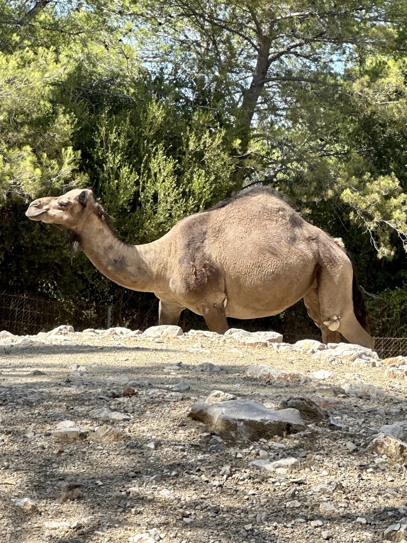 Zoo de Montpellier - Zoo de Montpellier 50 Av. Agropolis, 34090 Montpellier, France