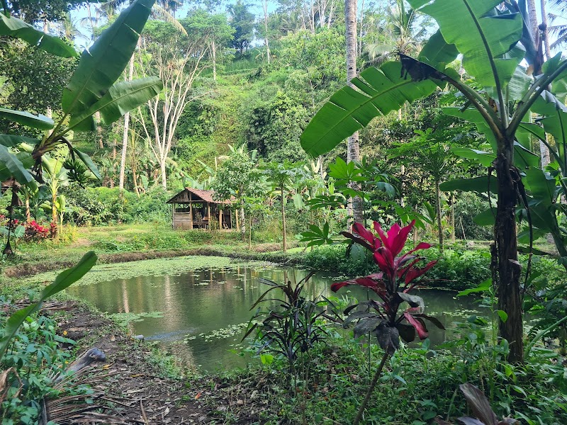 Tukad Cepung Waterfall - Tukad Cepung Waterfall Jl. Tembuku, Tembuku, Kec. Tembuku, Kabupaten Bangli, Bali 80671, Indonesia